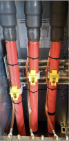 gallery_p49788_1.png