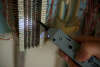 gallery_p8730_4.jpg